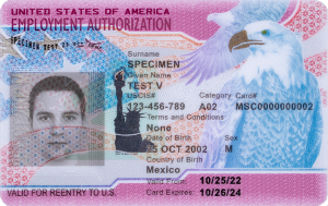 Employment Authorization Document (EAD) in the United States
